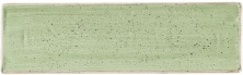 Блюдо прямоугольное Churchill Stonecast SSASOF301 (30х9см, без борта, цвет Sage Green)