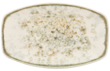 Блюдо овальное Kutahya Corendon Unearth BNBOH16KY890550 (16х9,6см)